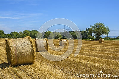 Round bales of straw Stock Photo