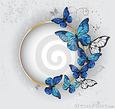 Round banner with blue butterflies morpho Vector Illustration