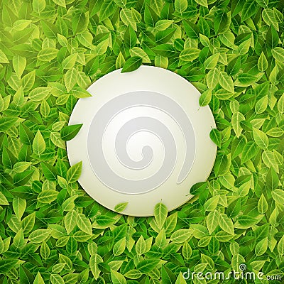 Round banner on green leaves background, vector illustration Vector Illustration