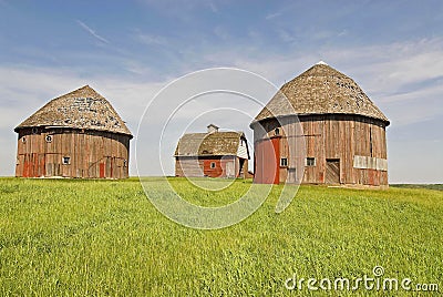 Round barns Stock Photo