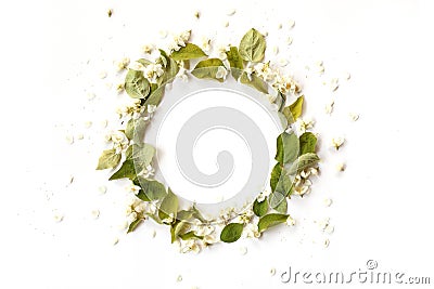 Round border frame with white jasmin flowers, buds Stock Photo