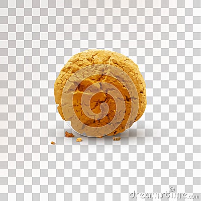 Round brown cookie with crumbs isolated on transparent background. Realistic vector illustration Vector Illustration