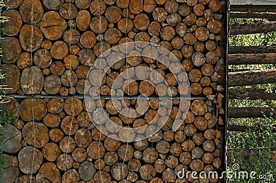 Round brown firewood under cover in the yard Stock Photo