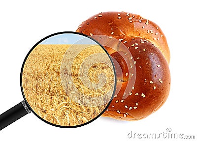 Round bun and wheat field is origin for production shown in a magnifying glass. Bakery food production and agriculture Stock Photo