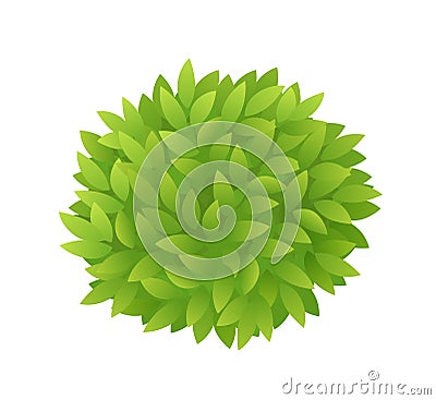 Round bush foliage of green leaves. Green leaves tea or tree texture. Thick thickets shrubs. Eco summer design. Vector Vector Illustration