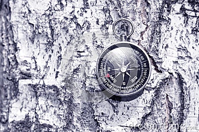 Round compass on natural background Stock Photo