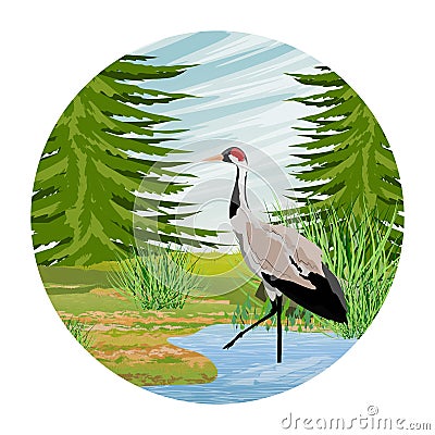 Round composition. Gray Crane in a forest swamp. Common crane or Grus grus or Eurasian crane. Wildlife of America and Europe Vector Illustration
