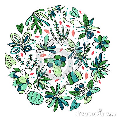 Round composition with houseplants, cactuses and succulents. Vector color hand drawn outline sketch illustration Vector Illustration