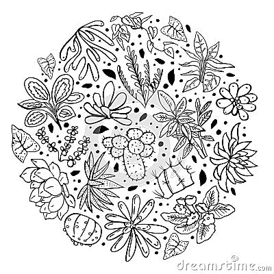 Round composition with houseplants, cactuses and succulents. Vector hand drawn outline sketch illustration Vector Illustration