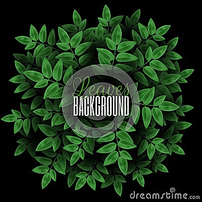 Round concept composition with plants. Natural Realistic Overgrown tree branches with fresh green leaves. Background Vector Illustration