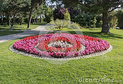 Round Flower Bed of Pink Begonias Stock Photo
