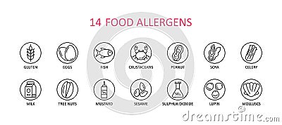 14 round food allergens icon. Vector set of 14 icons. Collection includes gluten, fish, egg, crustacean, peanut, lupin, soya, milk Vector Illustration