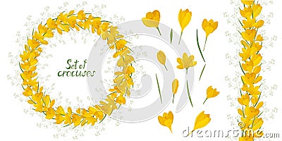 Round frame with beautiful yellow crocuses. Vector set of flower elements. Vector Illustration