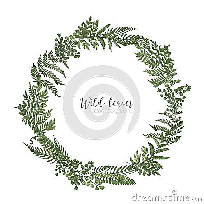 Round frame, border or circular wreath made of beautiful ferns, wild herbs or green herbaceous plants isolated on white Vector Illustration