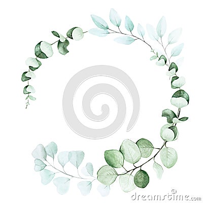 Round frame of eucalyptus leaves. graphic design element for weddings, cards, decoration. Cartoon Illustration