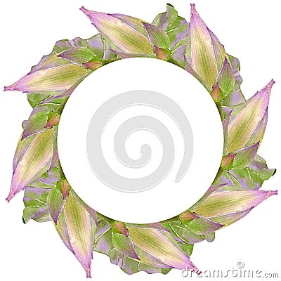 Watercolor of round frame of floral botanical lotus, buds and leaves. Cartoon Illustration