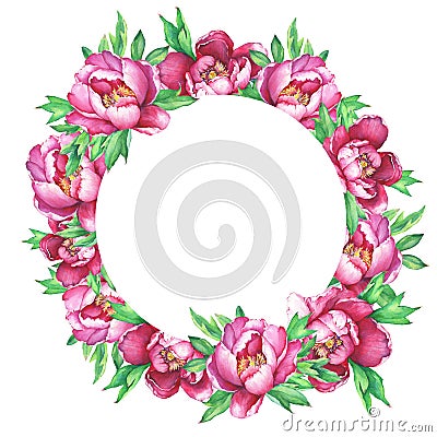 Round frame with flowering pink peonies, isolated on white background. Cartoon Illustration