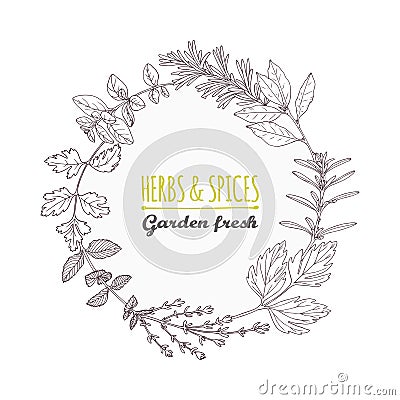 Round frame with hand drawn herbs and spices. Outline style background Vector Illustration