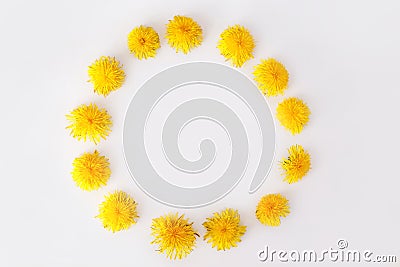 Round frame made of dandelions flowers. Summer concept, top view, flat lay Stock Photo