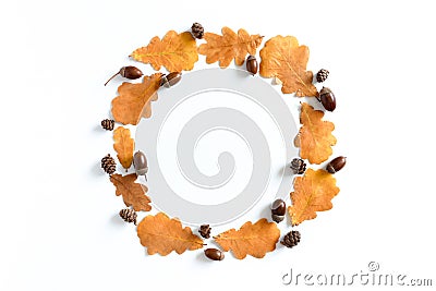 Round frame made from oak leaves, acorns and cones Stock Photo