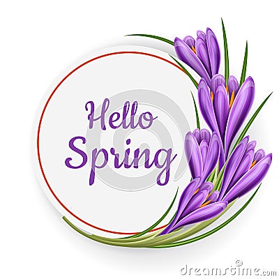 Round frame for spring with crocus flower Vector Illustration