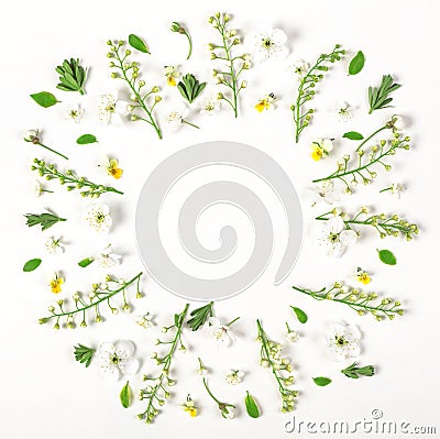 Round frame wreath made of spring flowers and leaves isolated on white background. Flat lay. Stock Photo