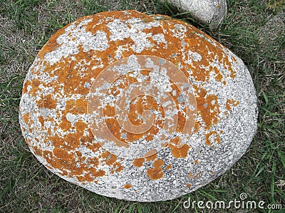 Round natural stone, with a surface covered with lichen Stock Photo