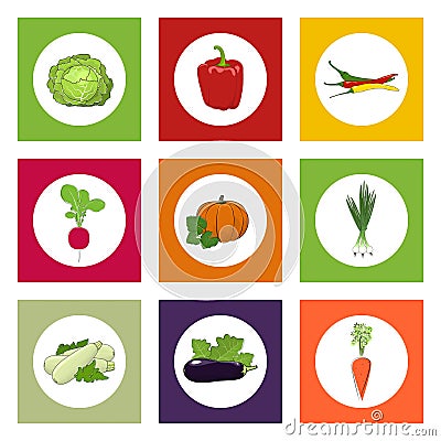 Round Icons Vegetables on Color Background Vector Illustration