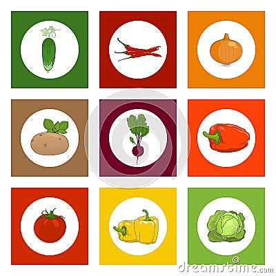 Round Icons Vegetables on Colorful Background Vector Illustration