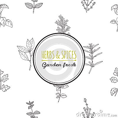 Round label template on seamless pattern with spicy herbs Vector Illustration