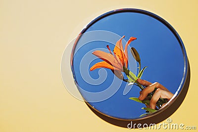 A round mirror lies on a light background. A female hand with a tiger lily is reflected in the mirror. Stock Photo