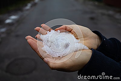 Round Pieces Of White Hail In Women`s Palms. Stock Photo