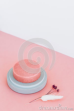 Round pink soap in a concrete soap dish on a pink background. Top view. Stock Photo