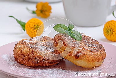 Round roasted cottage cheese roasted in a pink ceramic plate Stock Photo