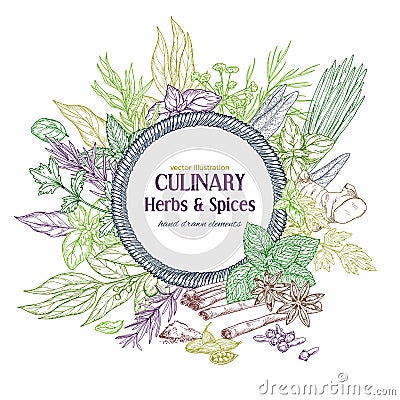 Round rope banner surrounded by colored sketch herbs and spices Vector Illustration