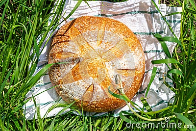 Round rural bread on green grass. A loaf of white bread. Stock Photo