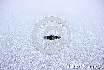 Round small hole in thin ice on a lake in the park Stock Photo