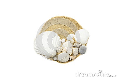 Round splash of sand, decorated with various seashells isolated on white. Stock Photo