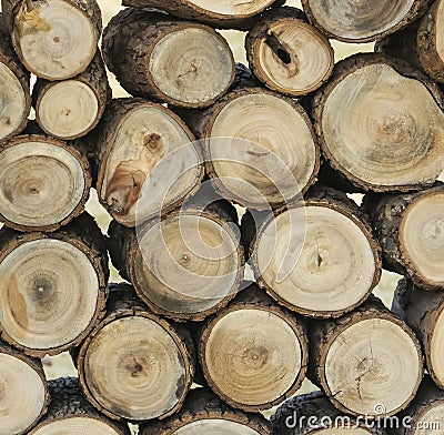 round stack of wood logs background Stock Photo
