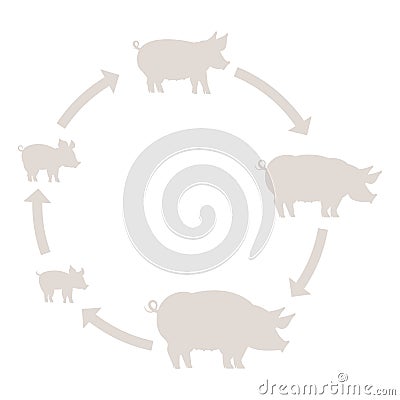 Round Stages of pig growth silhouette set. Pork production. Pig farm. Piglet grow up animation circle progression. Outline line Cartoon Illustration