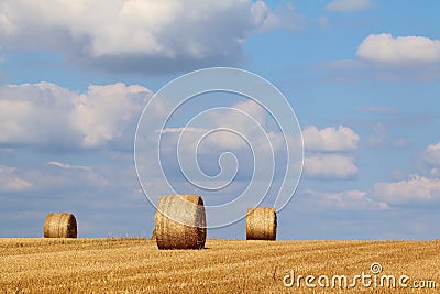 Round straw bales in a field Stock Photo