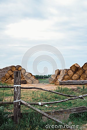 Round straw stacks. Haystacks lie in a high pile. Food for cattle, for horses Stock Photo