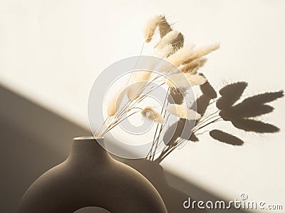 Round stylish ceramic vase with dried flower lagurus casting shadows Stock Photo