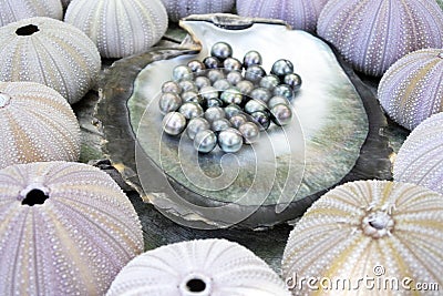 Tahitian Black Pearls Stock Photo