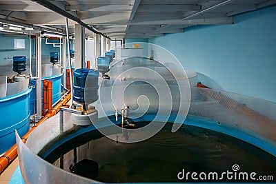Round tanks with automatic aeration and compound food supply for growing sturgeons in modern fish farm Stock Photo