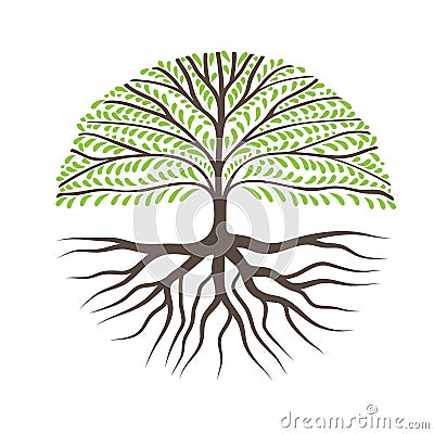 Round Tree With Roots Vector Illustration