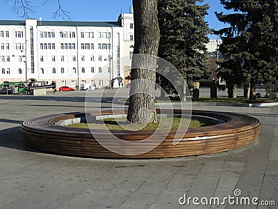 Round wooden bench Editorial Stock Photo