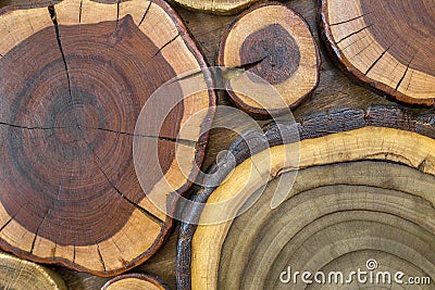Round wooden unpainted solid natural ecological soft colored brown and yellow crackled stumps background, tree cut sections with Stock Photo