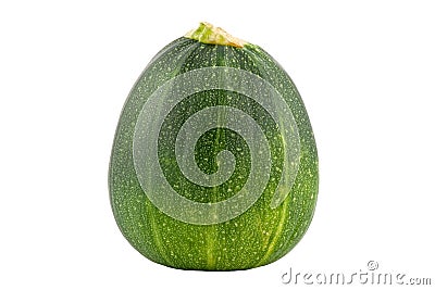 Round zucchini Stock Photo