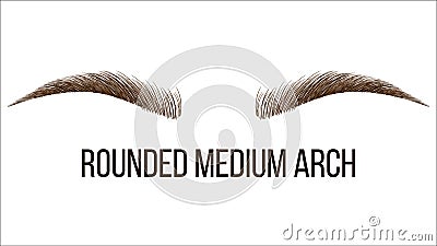 Rounded Medium Arch Vector Hand Drawn Brows Shape Vector Illustration